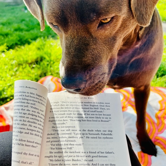 Meet your Posher, Samantha - Picture 8 of 15